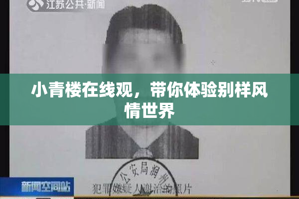小青楼在线观，带你体验别样风情世界