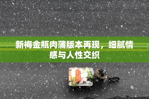 新梅金瓶肉蒲版本再现，细腻情感与人性交织