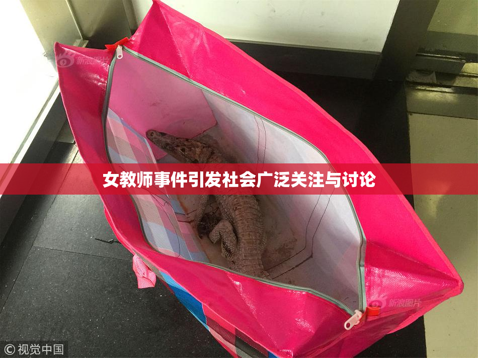 女教师事件引发社会广泛关注与讨论