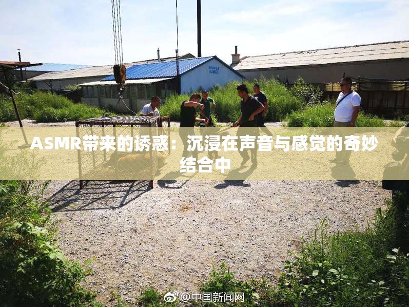 ASMR带来的诱惑：沉浸在声音与感觉的奇妙结合中