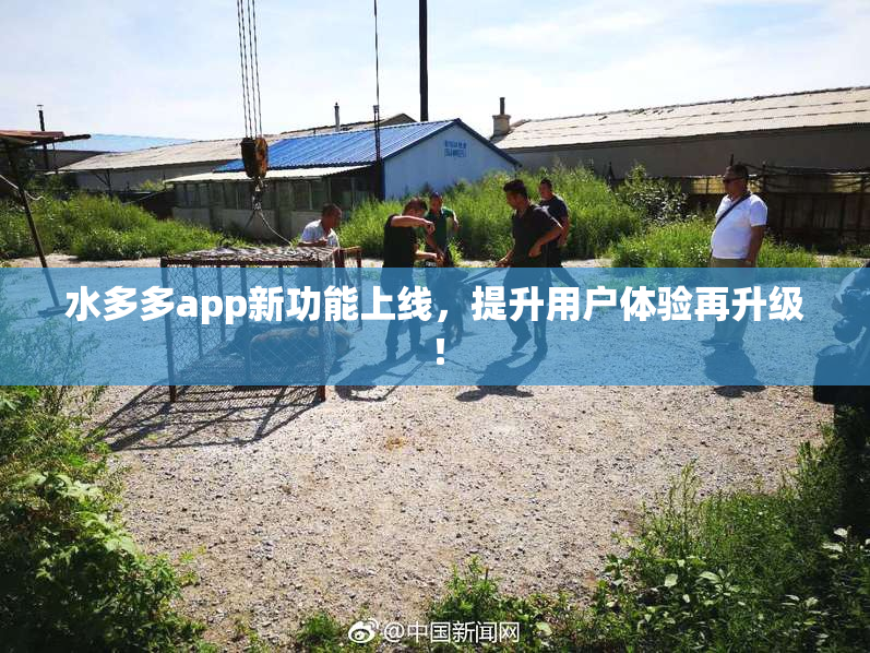 水多多app新功能上线，提升用户体验再升级！