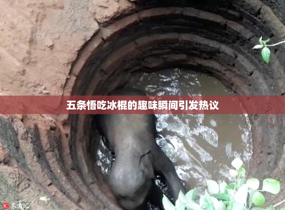 五条悟吃冰棍的趣味瞬间引发热议