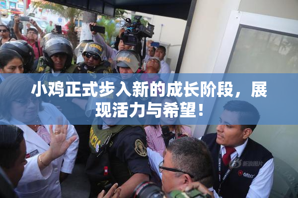 小鸡正式步入新的成长阶段，展现活力与希望！