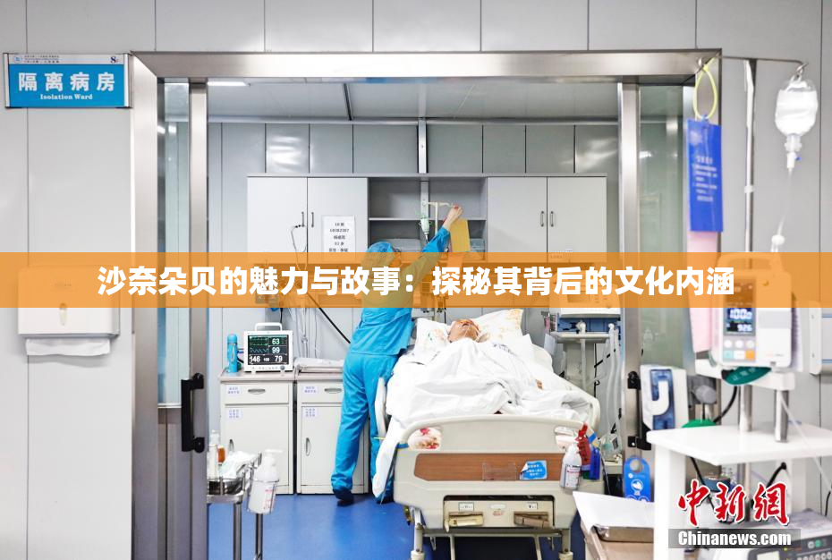 沙奈朵贝的魅力与故事：探秘其背后的文化内涵