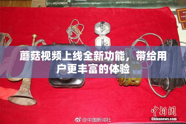 蘑菇视频上线全新功能，带给用户更丰富的体验