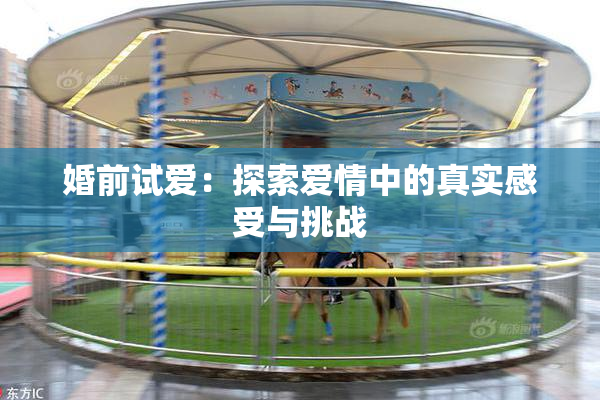 婚前试爱：探索爱情中的真实感受与挑战