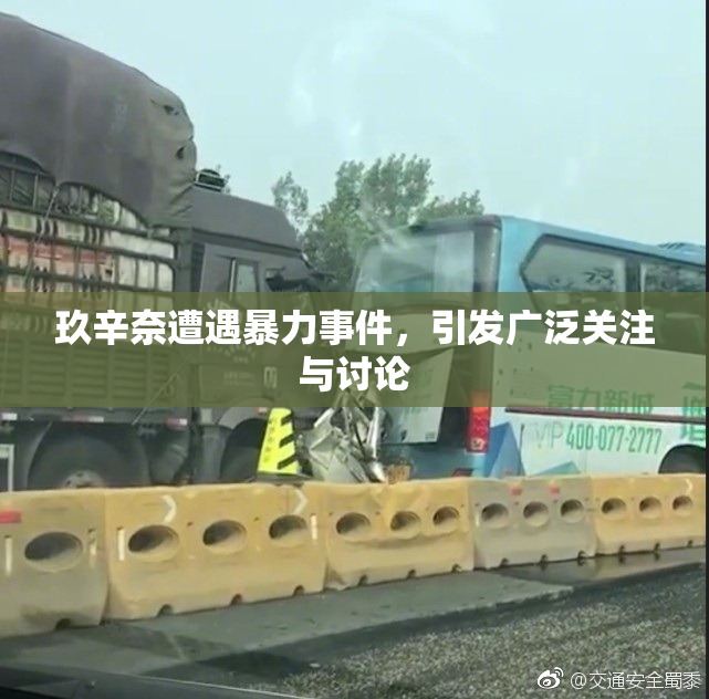 玖辛奈遭遇暴力事件，引发广泛关注与讨论