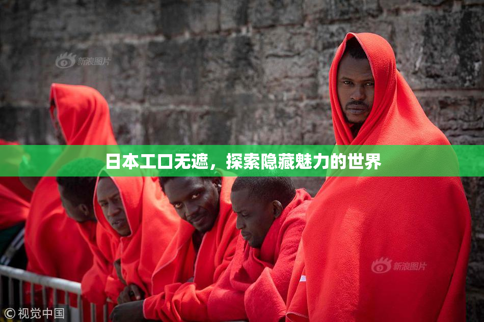 日本工口无遮，探索隐藏魅力的世界