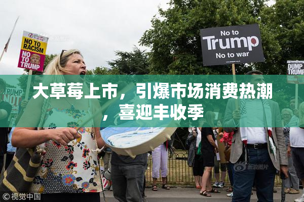大草莓上市，引爆市场消费热潮，喜迎丰收季
