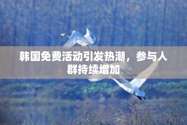 韩国免费活动引发热潮，参与人群持续增加