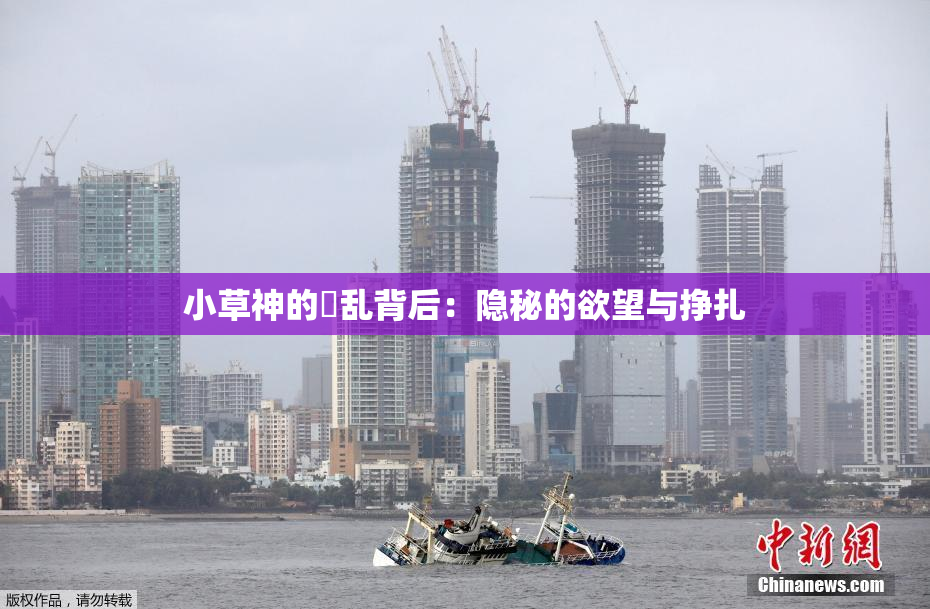 小草神的婬乱背后：隐秘的欲望与挣扎
