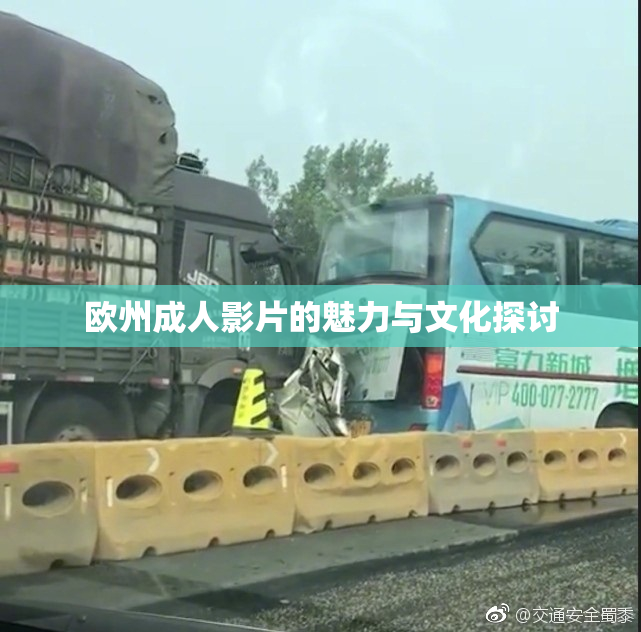 欧州成人影片的魅力与文化探讨