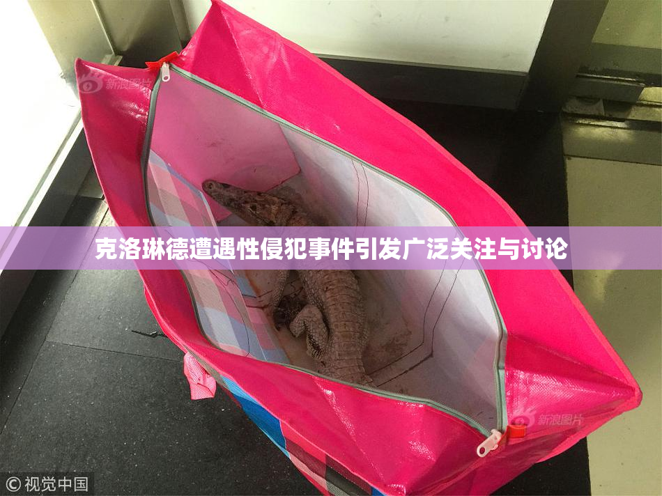 克洛琳德遭遇性侵犯事件引发广泛关注与讨论