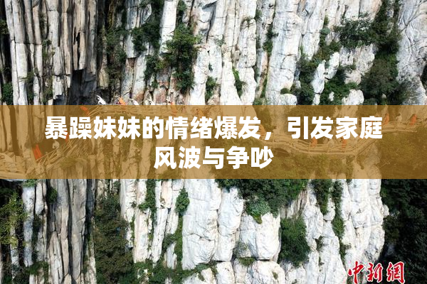 暴躁妹妹的情绪爆发，引发家庭风波与争吵