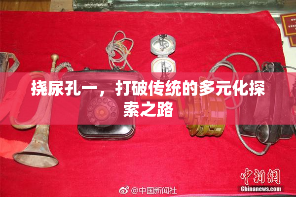 挠尿孔一，打破传统的多元化探索之路