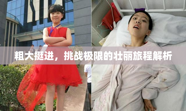 粗大挺进，挑战极限的壮丽旅程解析