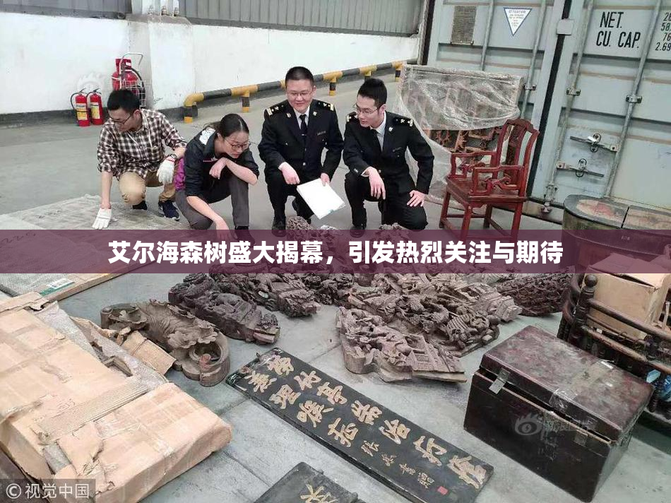 艾尔海森树盛大揭幕，引发热烈关注与期待