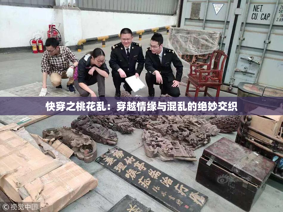 快穿之桃花乱：穿越情缘与混乱的绝妙交织