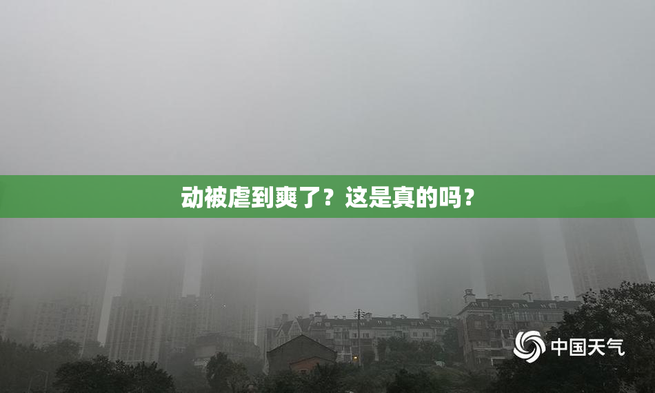 动被虐到爽了？这是真的吗？