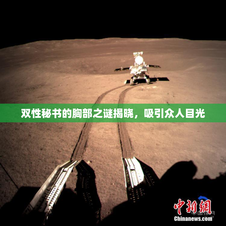 双性秘书的胸部之谜揭晓，吸引众人目光