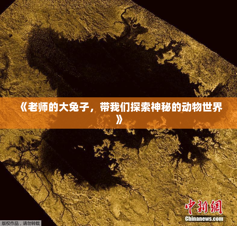 《老师的大兔子，带我们探索神秘的动物世界》