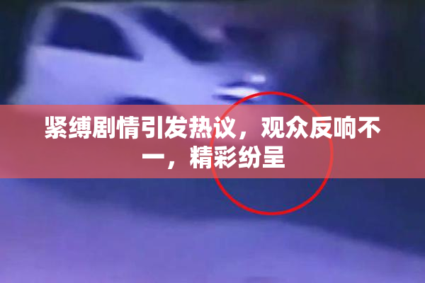 紧缚剧情引发热议，观众反响不一，精彩纷呈