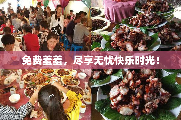 免费羞羞，尽享无忧快乐时光！