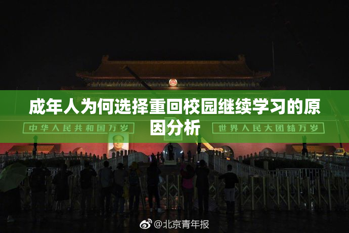 成年人为何选择重回校园继续学习的原因分析