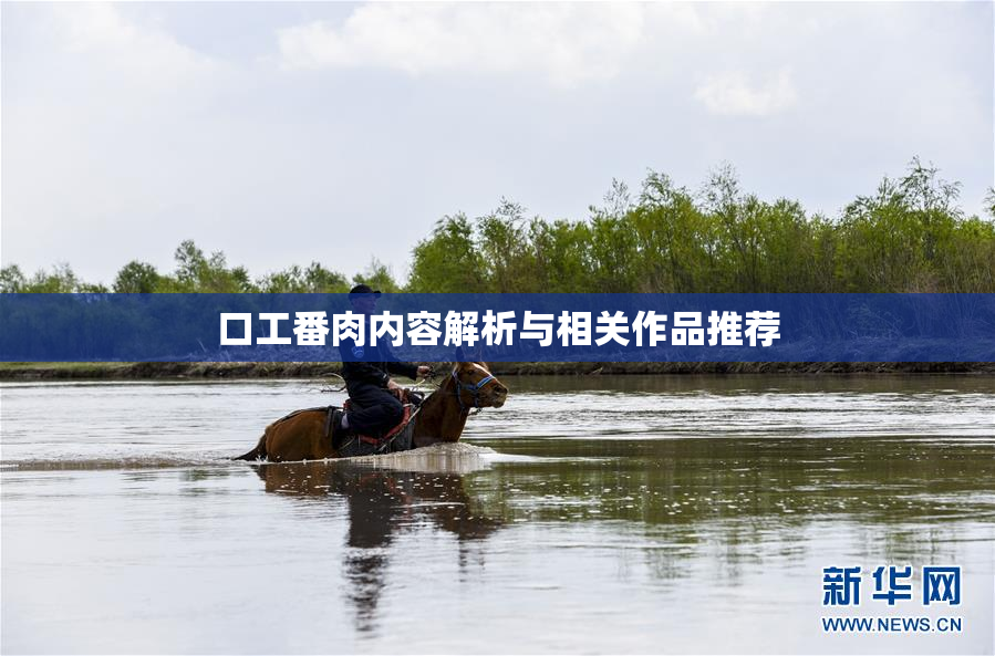 口工番肉内容解析与相关作品推荐
