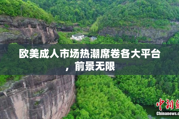 欧美成人市场热潮席卷各大平台，前景无限
