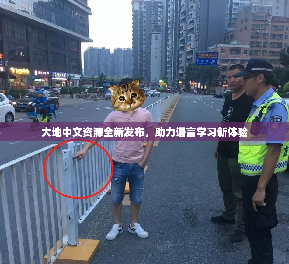 大地中文资源全新发布，助力语言学习新体验