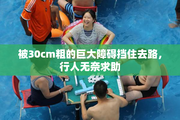 被30cm粗的巨大障碍挡住去路，行人无奈求助
