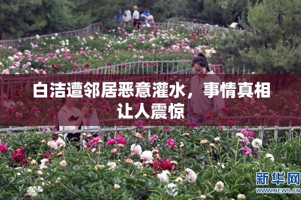 白洁遭邻居恶意灌水，事情真相让人震惊