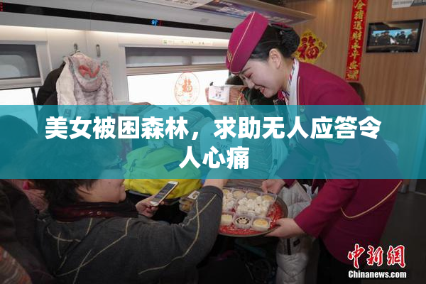 美女被困森林，求助无人应答令人心痛