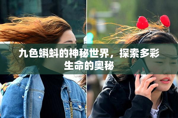 九色蝌蚪的神秘世界，探索多彩生命的奥秘