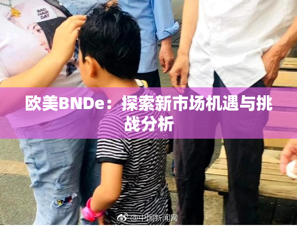 欧美BNDe：探索新市场机遇与挑战分析