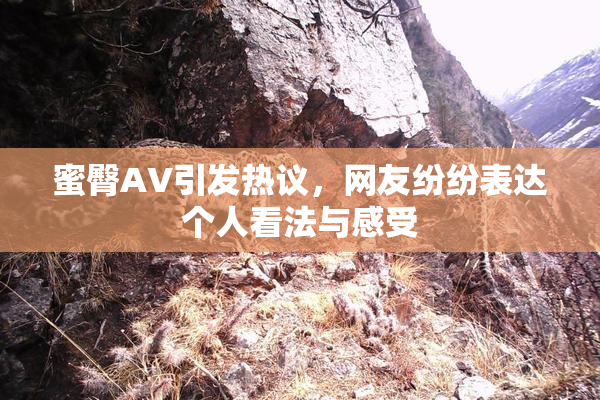 蜜臀AV引发热议，网友纷纷表达个人看法与感受