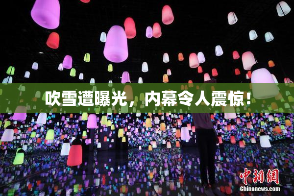 吹雪遭曝光，内幕令人震惊！