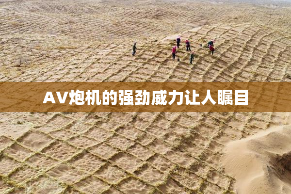AV炮机的强劲威力让人瞩目