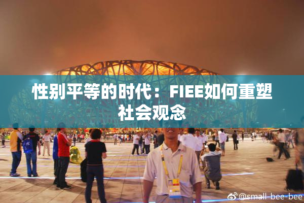 性别平等的时代：FIEE如何重塑社会观念
