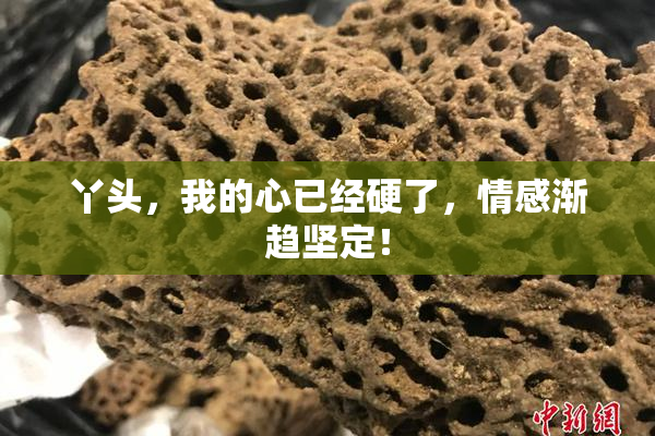 丫头，我的心已经硬了，情感渐趋坚定！
