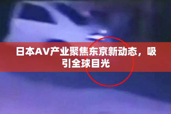 日本AV产业聚焦东京新动态，吸引全球目光