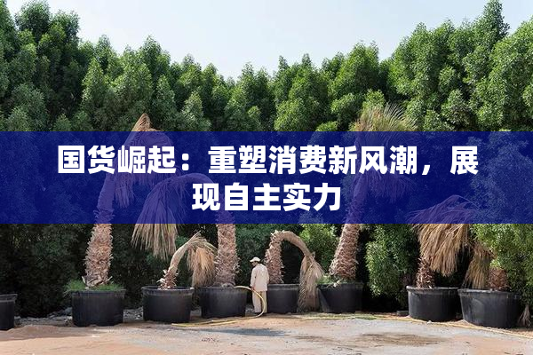 国货崛起：重塑消费新风潮，展现自主实力