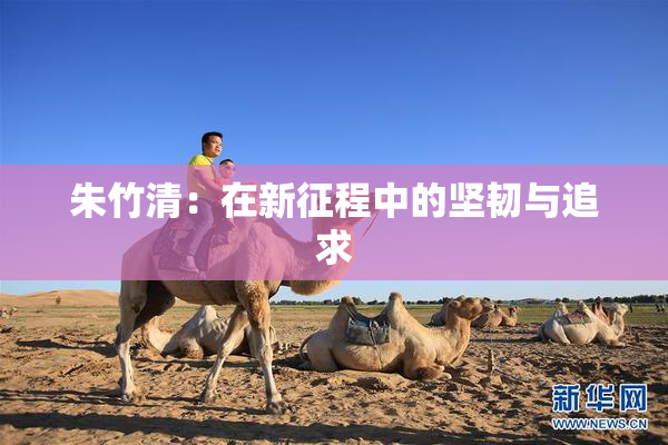 朱竹清：在新征程中的坚韧与追求
