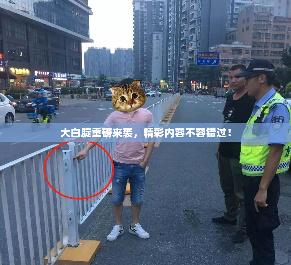 大白腚重磅来袭，精彩内容不容错过！
