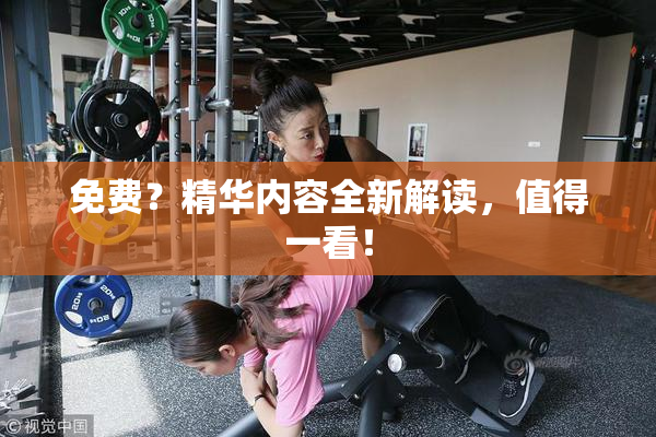 免费？精华内容全新解读，值得一看！