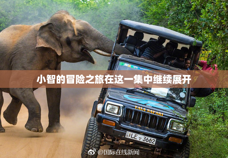小智的冒险之旅在这一集中继续展开