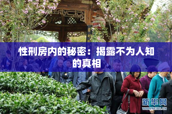 性刑房内的秘密：揭露不为人知的真相