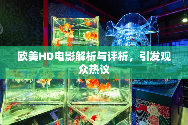 欧美HD电影解析与评析，引发观众热议