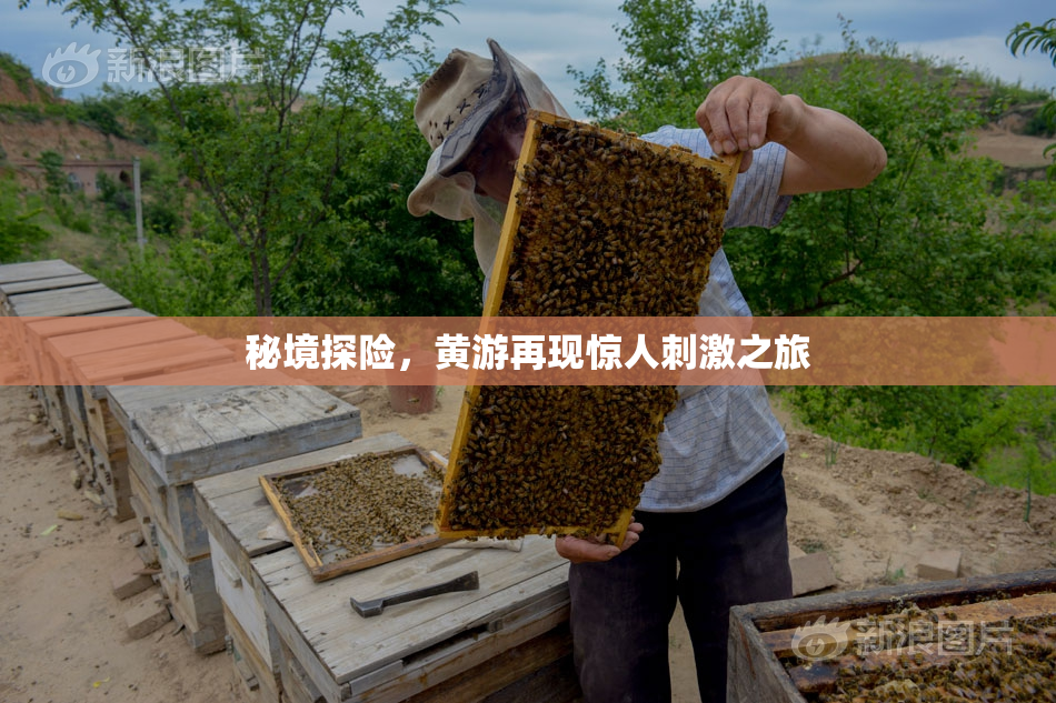秘境探险，黄游再现惊人刺激之旅